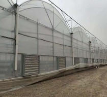 如何設(shè)計(jì)連棟大棚通風(fēng)系統(tǒng)？