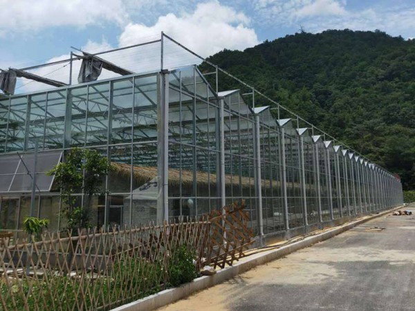 玻璃溫室