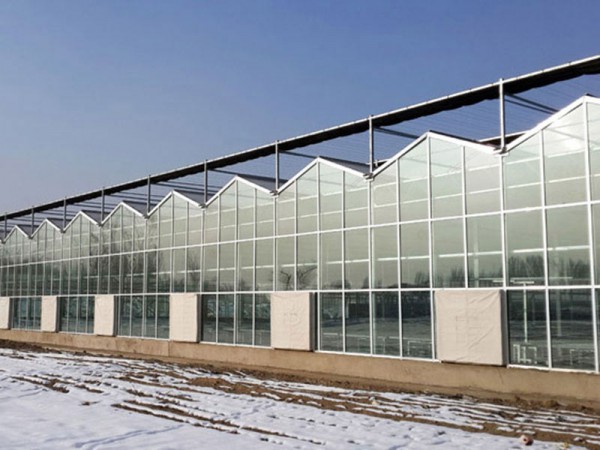 玻璃溫室