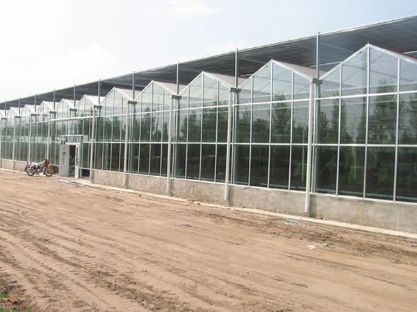 玻璃溫室