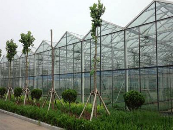 玻璃溫室