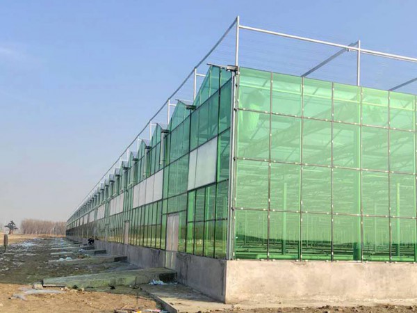 玻璃溫室