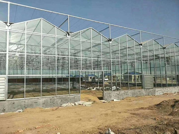 玻璃溫室