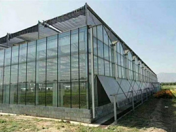玻璃溫室