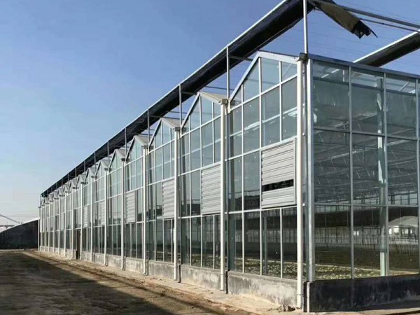 玻璃溫室