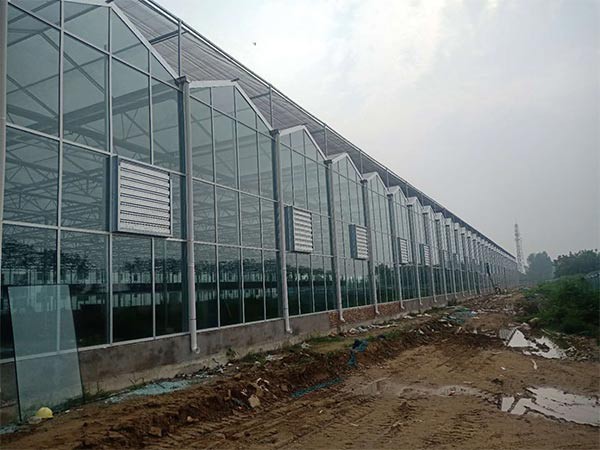 玻璃溫室