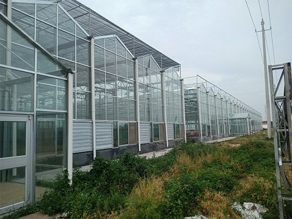 玻璃溫室