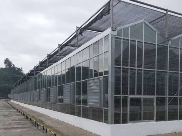 玻璃溫室