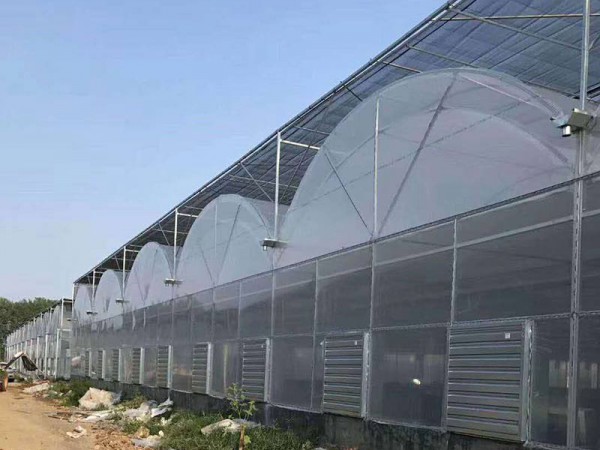 薄膜溫室