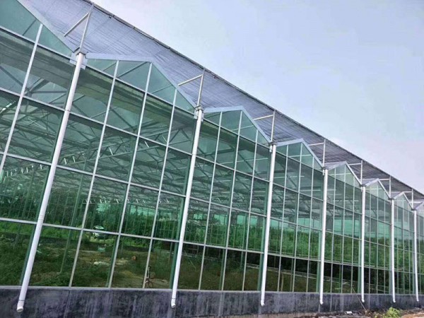玻璃溫室