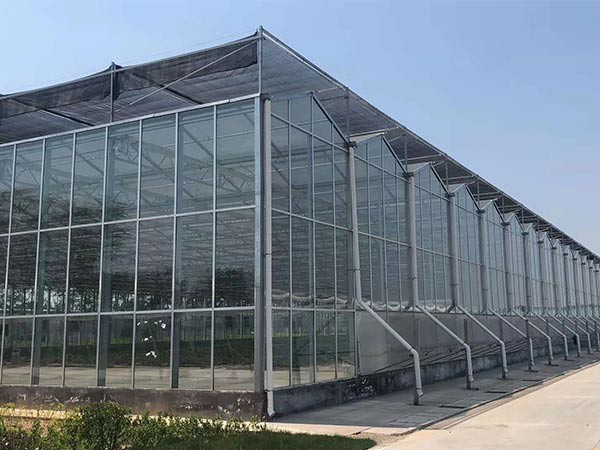 玻璃溫室
