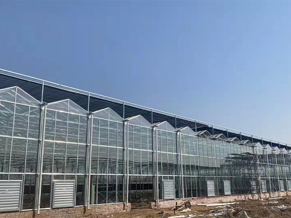 玻璃溫室