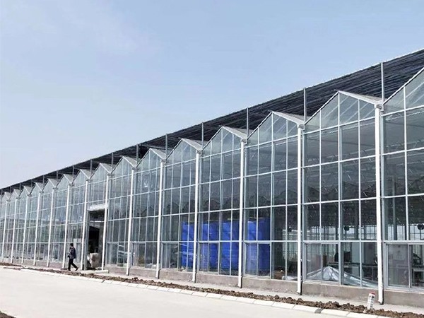 玻璃溫室
