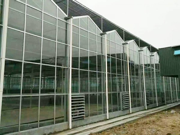 玻璃溫室
