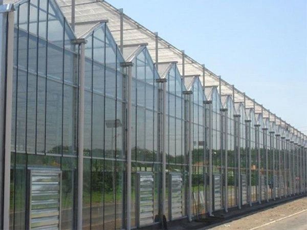 玻璃溫室