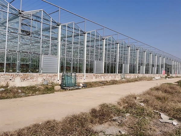玻璃溫室