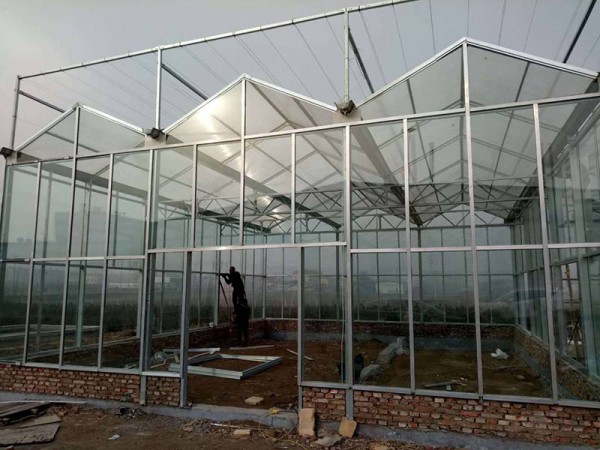 玻璃溫室