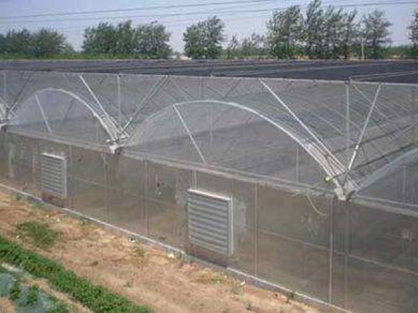 薄膜溫室