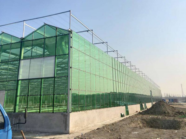 玻璃溫室