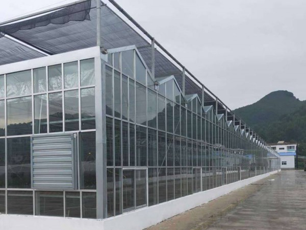 玻璃溫室