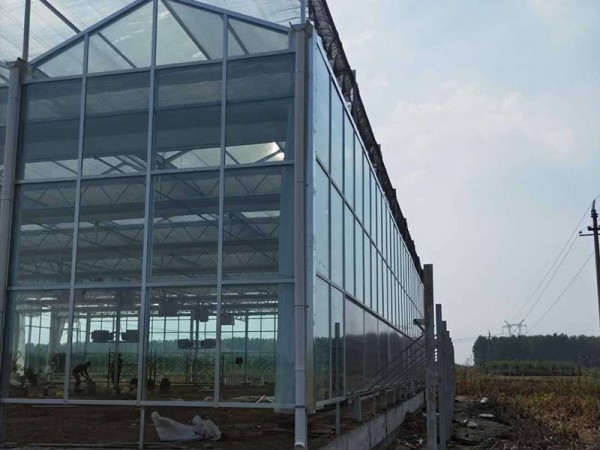 玻璃溫室